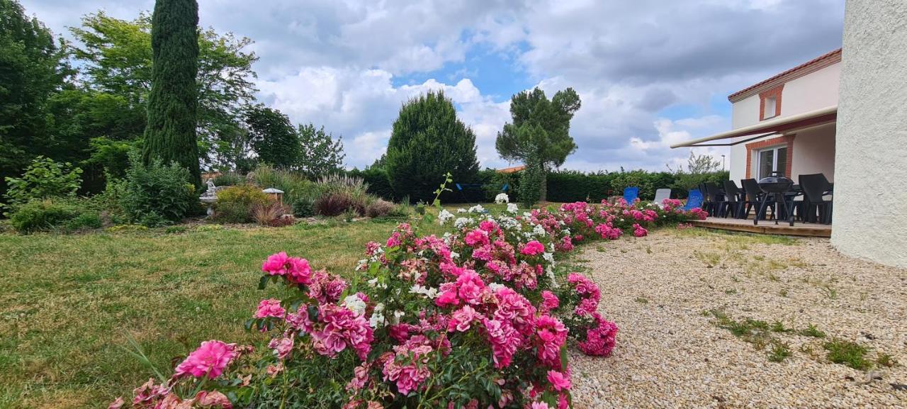 Splendide gîte La Tour Blanche 12min du Puy du Fou Saint-Amand-sur-Sevre Extérieur photo